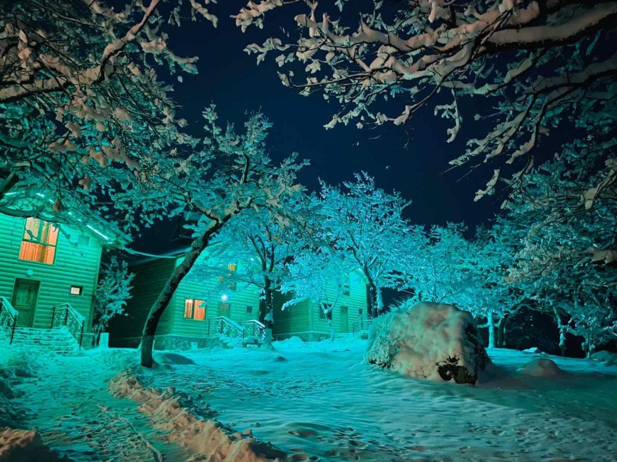 Harsnadzor Eco Resort Halidzor Exterior foto